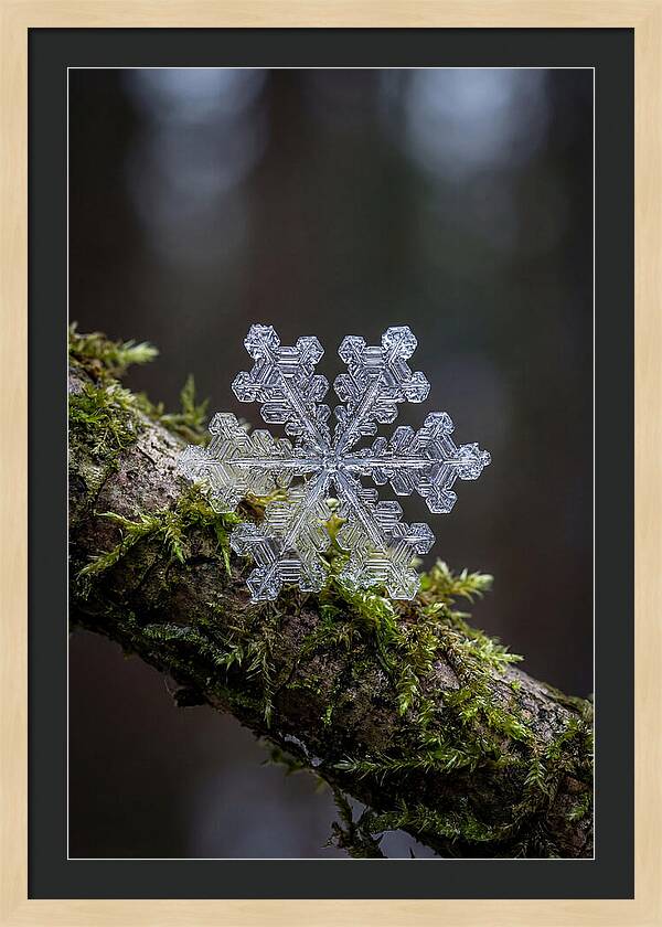 Snowflake Crystal Macro