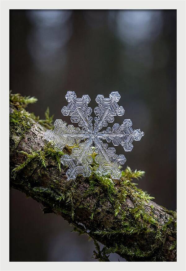 Snowflake Crystal Macro