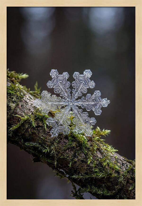Snowflake Crystal Macro