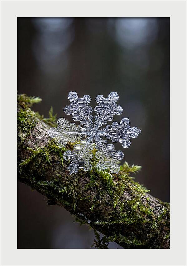 Snowflake Crystal Macro