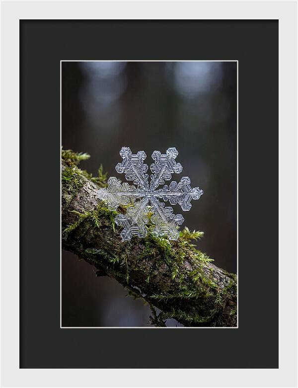 Snowflake Crystal Macro