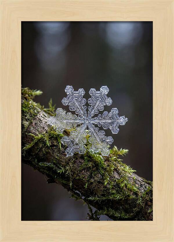Snowflake Crystal Macro