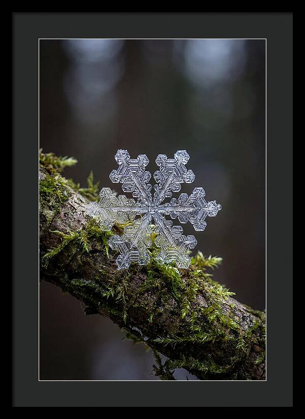 Snowflake Crystal Macro