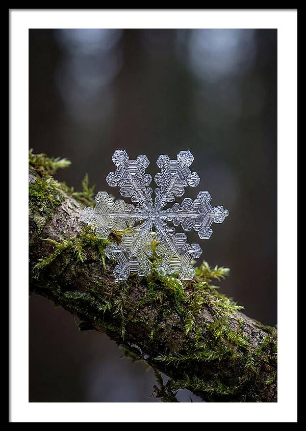 Snowflake Crystal Macro