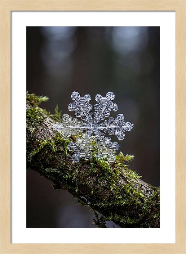 Snowflake Crystal Macro