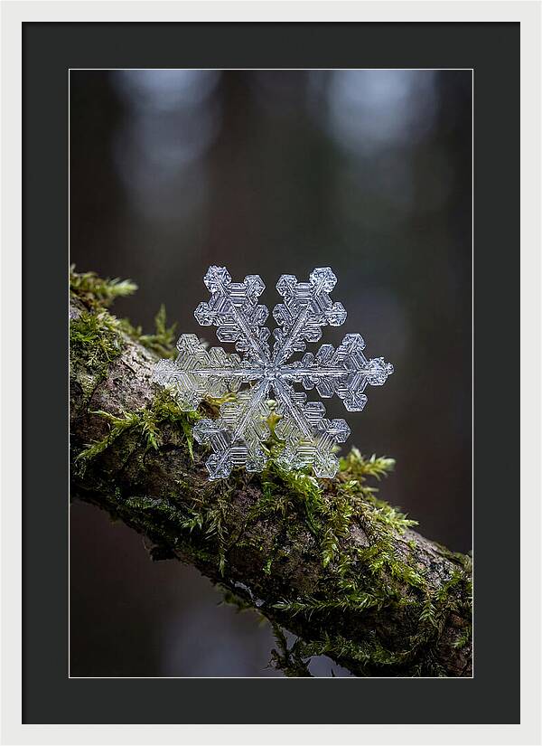 Snowflake Crystal Macro