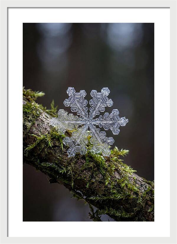 Snowflake Crystal Macro