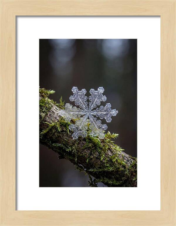 Snowflake Crystal Macro