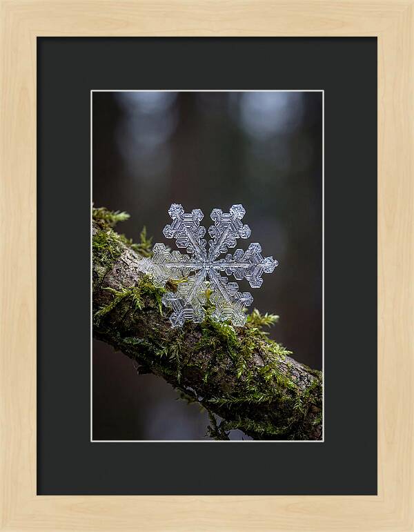 Snowflake Crystal Macro
