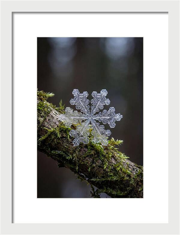 Snowflake Crystal Macro