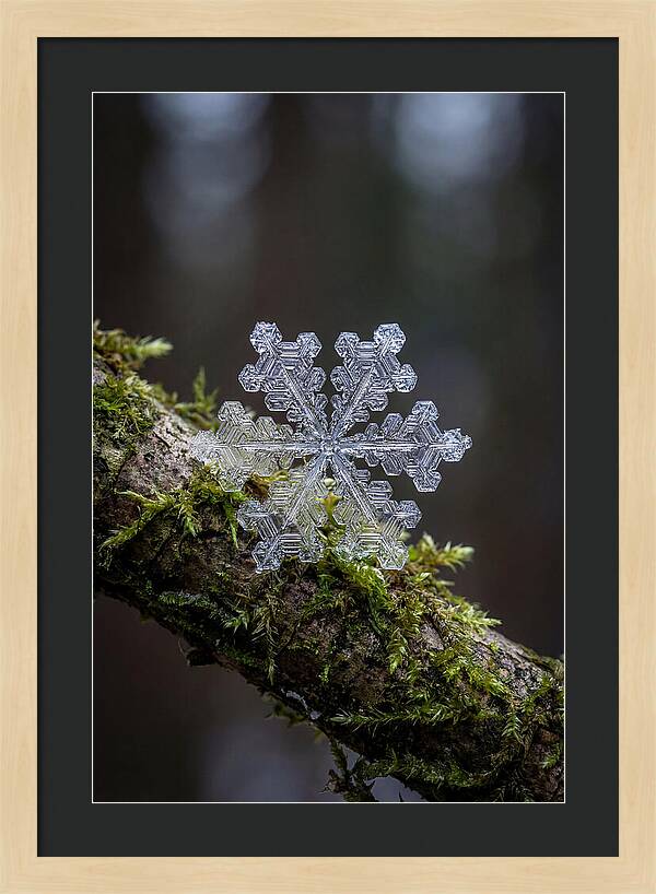 Snowflake Crystal Macro