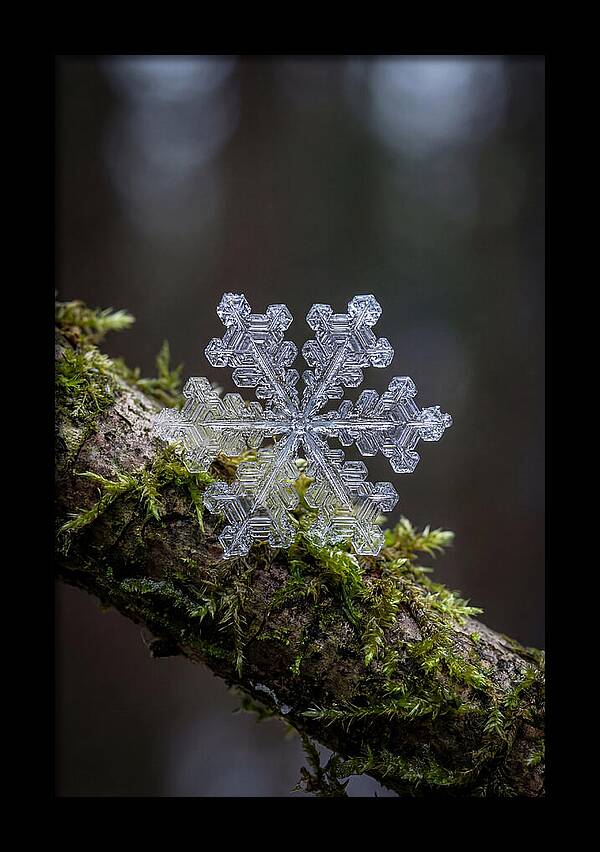 Snowflake Crystal Macro