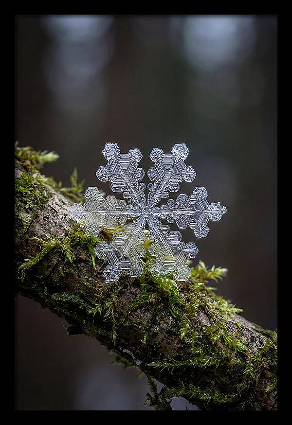 Snowflake Crystal Macro