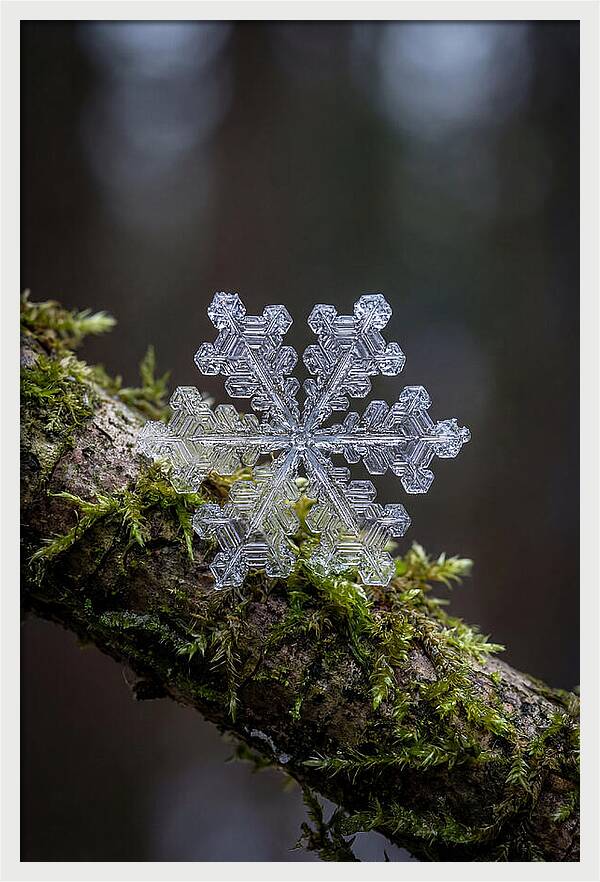 Snowflake Crystal Macro