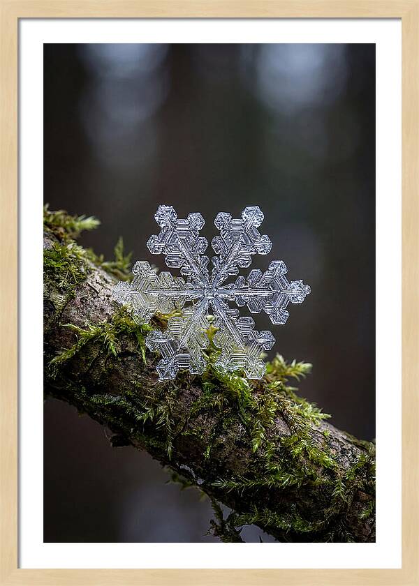 Snowflake Crystal Macro