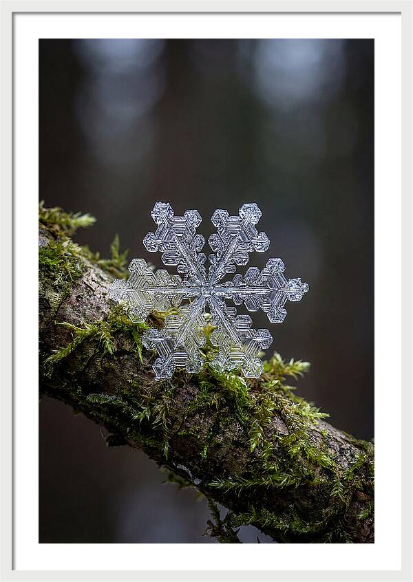 Snowflake Crystal Macro