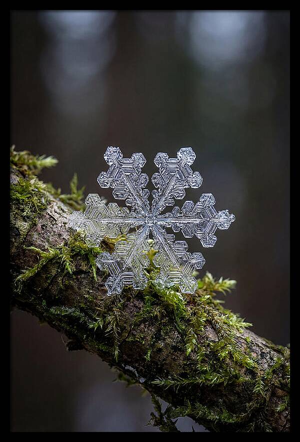 Snowflake Crystal Macro