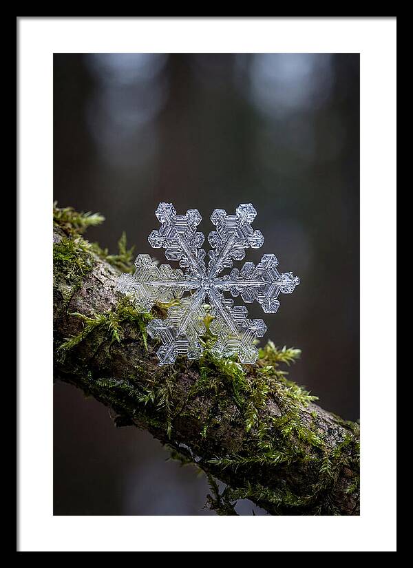 Snowflake Crystal Macro