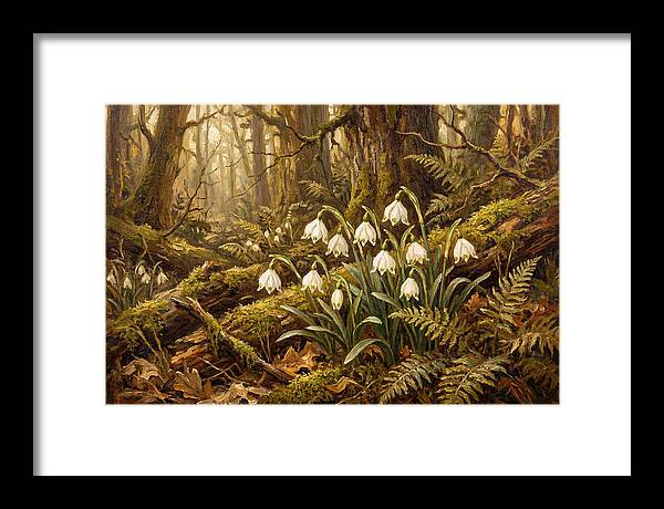 Snowflake Leucojum Bells In Shady Woodland