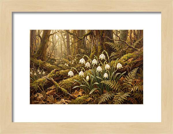 Snowflake Leucojum Bells In Shady Woodland