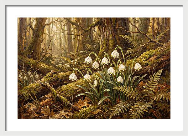 Snowflake Leucojum Bells In Shady Woodland
