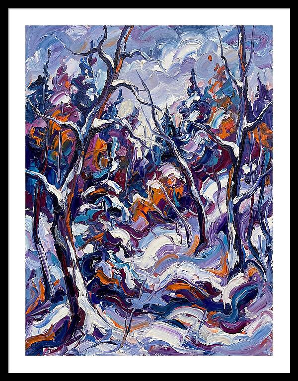 Snowy Forest Serenity