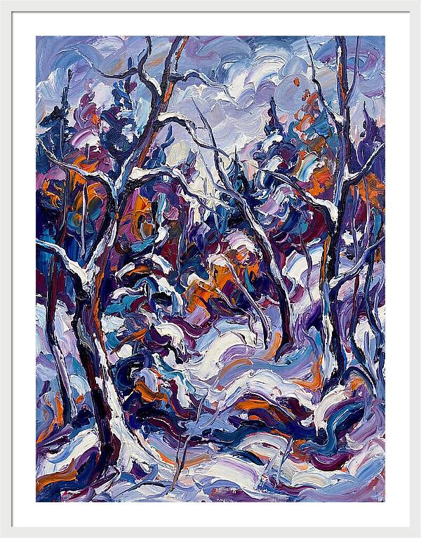 Snowy Forest Serenity