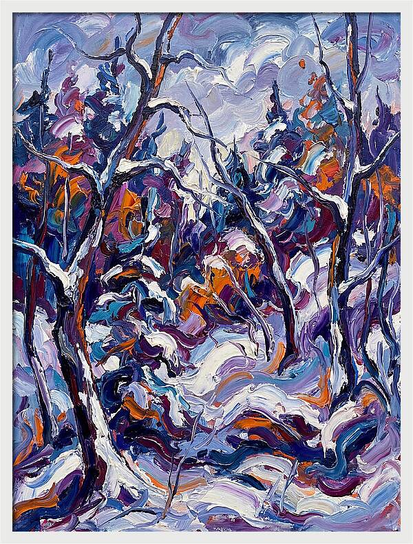Snowy Forest Serenity