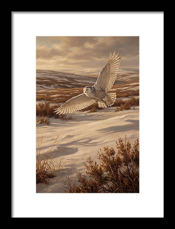 Snowy Owl In Majestic Flight