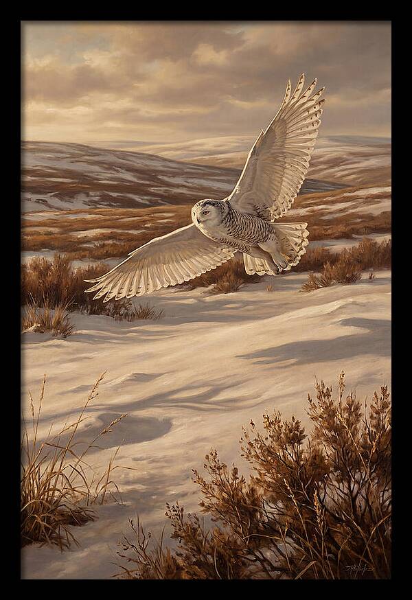 Snowy Owl In Majestic Flight