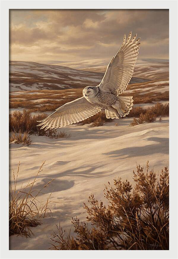 Snowy Owl In Majestic Flight