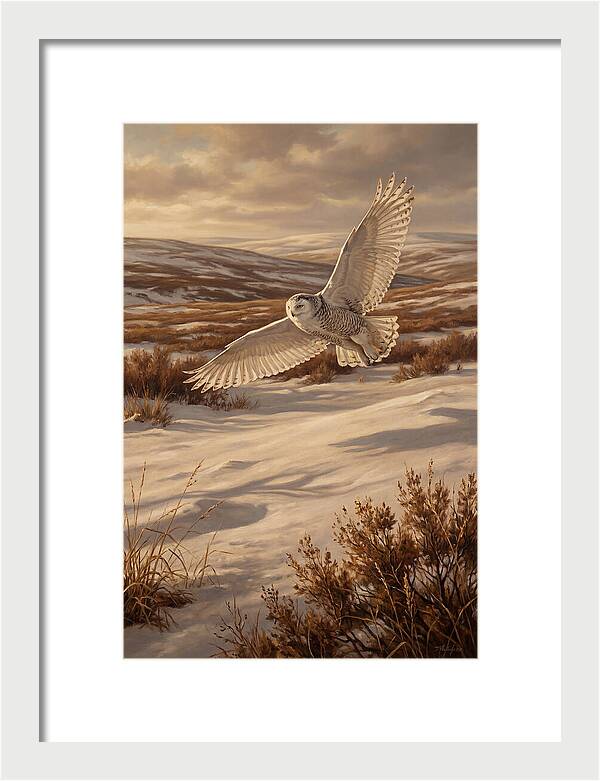 Snowy Owl In Majestic Flight