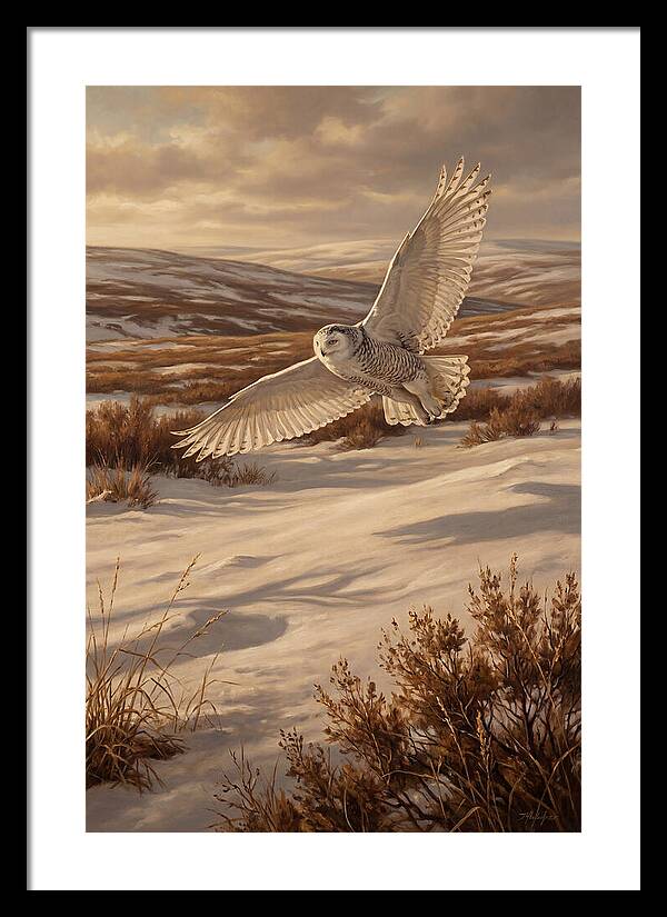 Snowy Owl In Majestic Flight