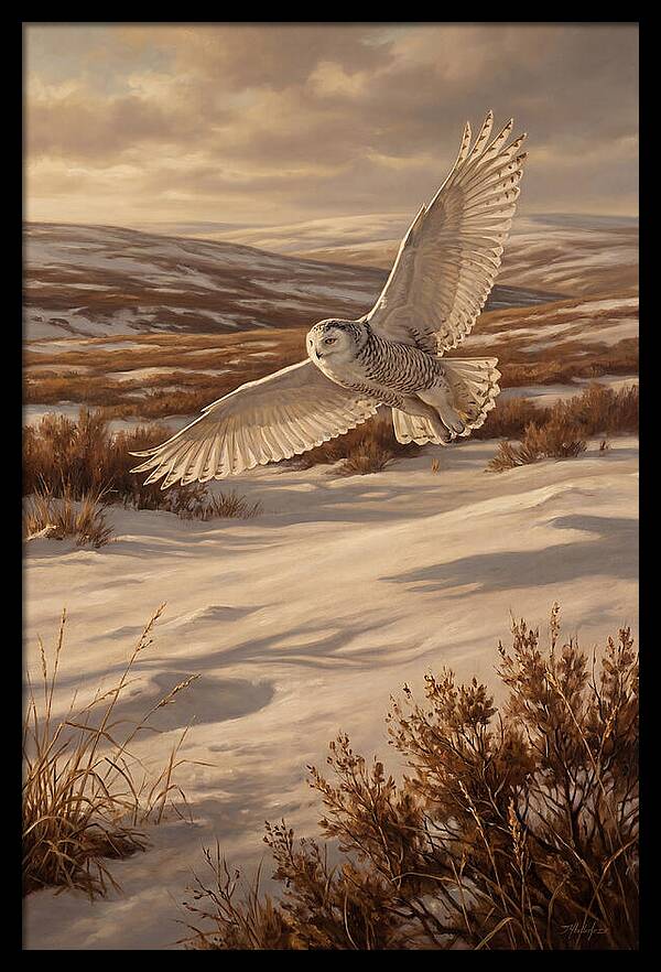 Snowy Owl In Majestic Flight
