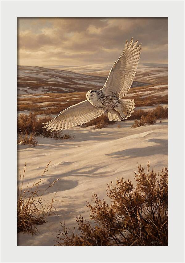 Snowy Owl In Majestic Flight