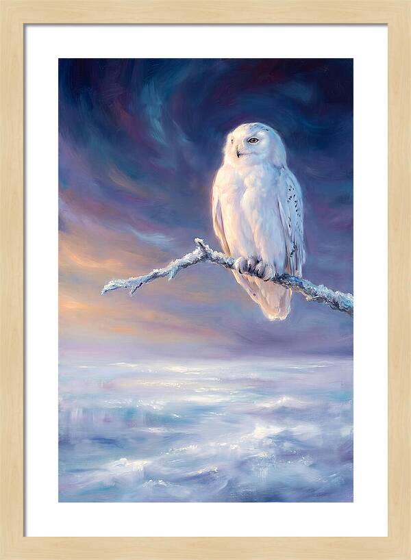 Snowy Owl In Twilight