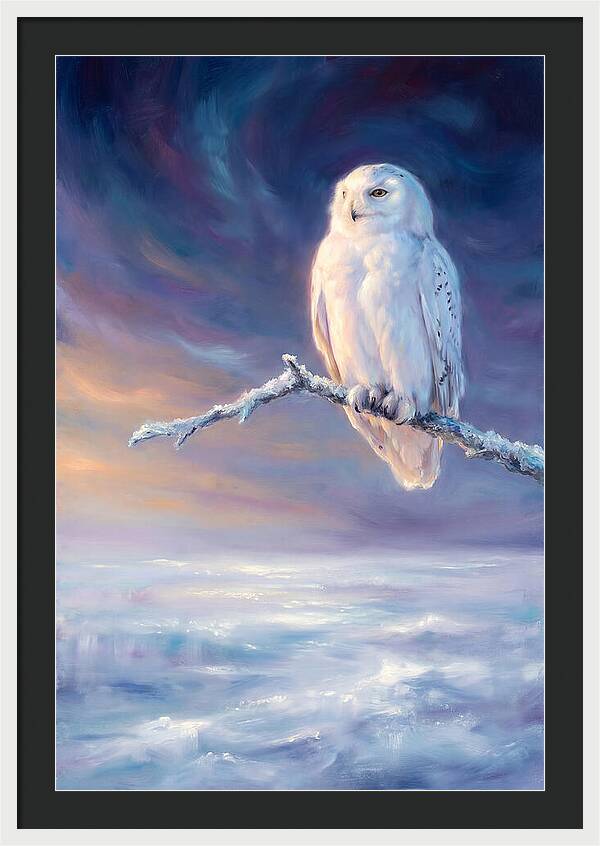 Snowy Owl In Twilight