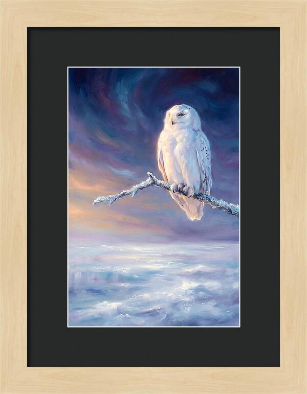 Snowy Owl In Twilight