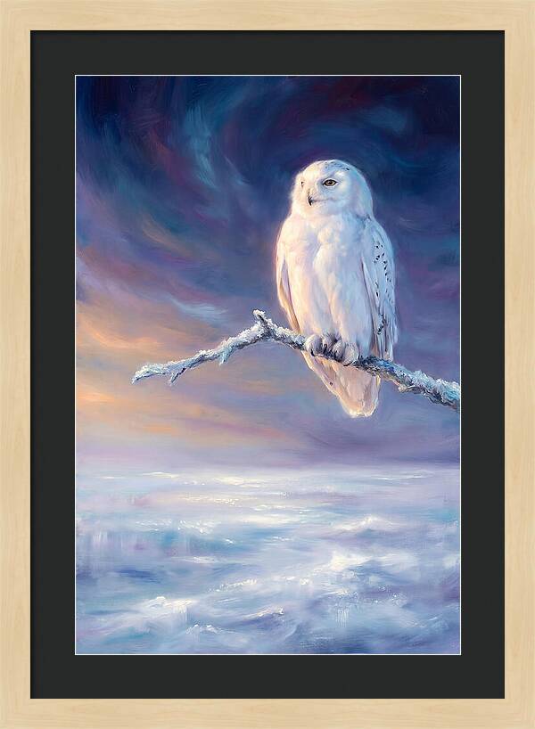 Snowy Owl In Twilight