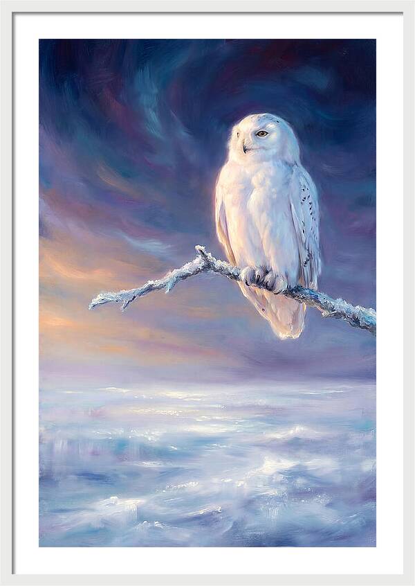 Snowy Owl In Twilight
