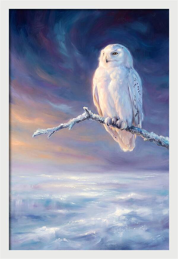 Snowy Owl In Twilight