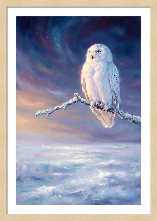 Snowy Owl In Twilight