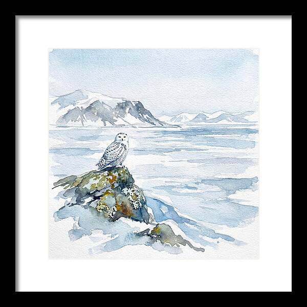 Snowy Owl In Winter Landscape