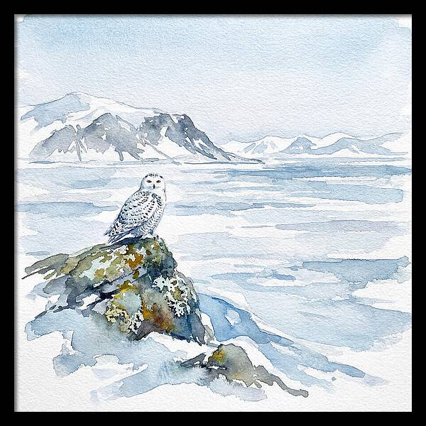 Snowy Owl In Winter Landscape