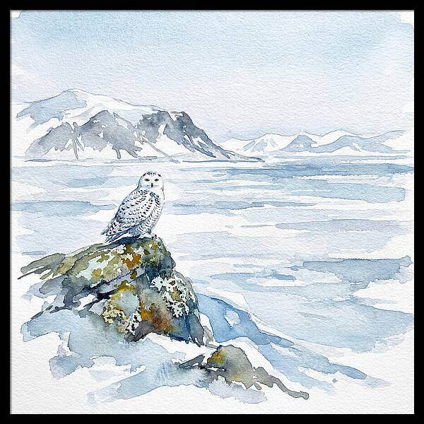 Snowy Owl In Winter Landscape