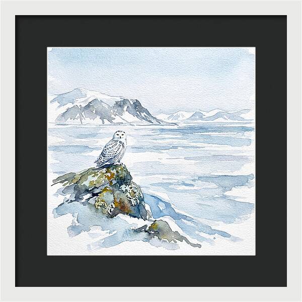 Snowy Owl In Winter Landscape