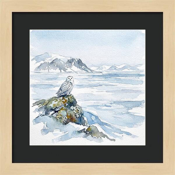Snowy Owl In Winter Landscape