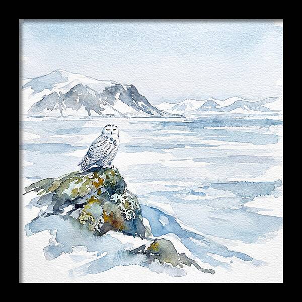 Snowy Owl In Winter Landscape