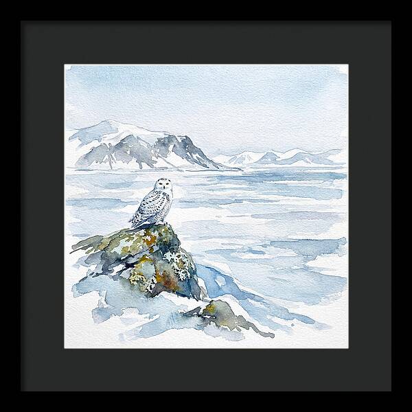 Snowy Owl In Winter Landscape
