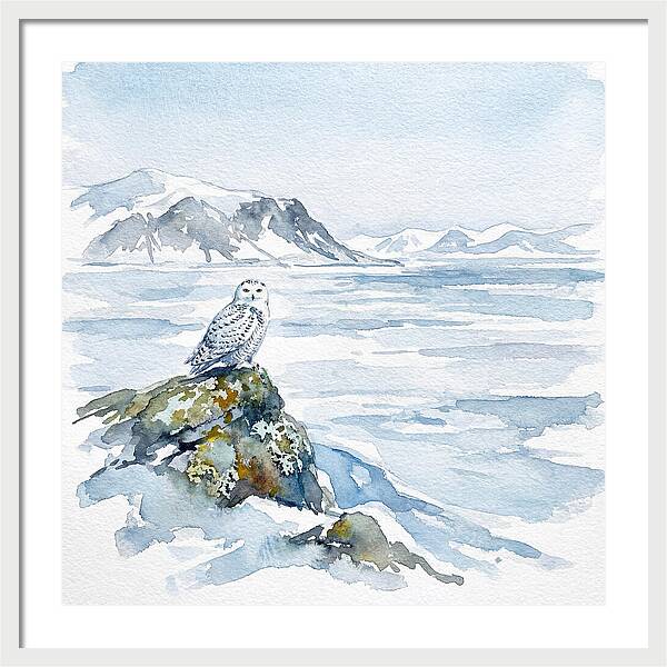 Snowy Owl In Winter Landscape